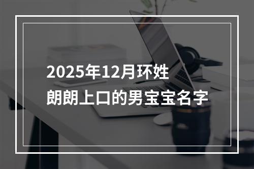 2025年12月环姓朗朗上口的男宝宝名字