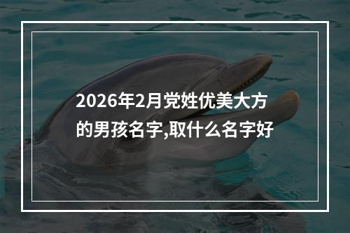 2026年2月党姓优美大方的男孩名字,取什么名字好