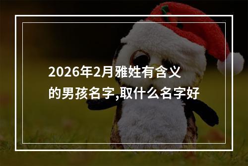 2026年2月雅姓有含义的男孩名字,取什么名字好