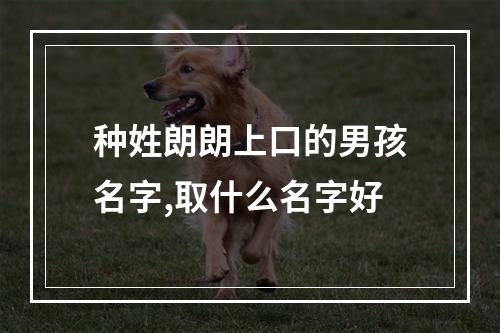 种姓朗朗上口的男孩名字,取什么名字好