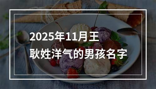 2025年11月王耿姓洋气的男孩名字