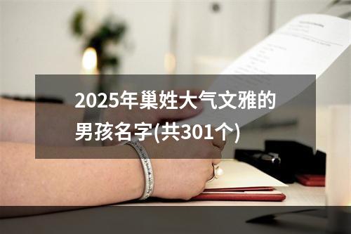 2025年巢姓大气文雅的男孩名字(共301个)