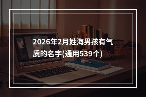 2026年2月姓海男孩有气质的名字(通用539个)