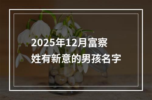 2025年12月富察姓有新意的男孩名字