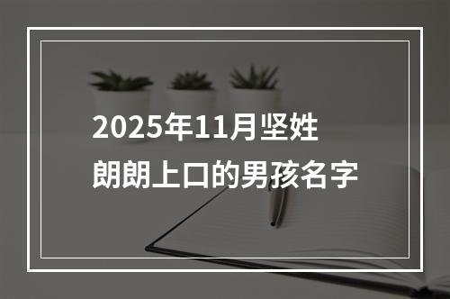 2025年11月坚姓朗朗上口的男孩名字