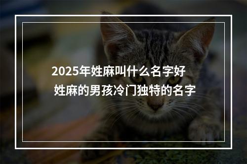 2025年姓麻叫什么名字好 姓麻的男孩冷门独特的名字