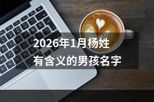 2026年1月杨姓有含义的男孩名字