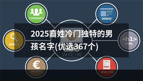 2025裔姓冷门独特的男孩名字(优选367个)