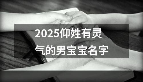 2025仰姓有灵气的男宝宝名字