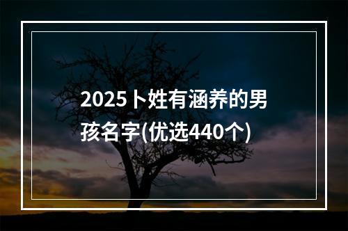 2025卜姓有涵养的男孩名字(优选440个)