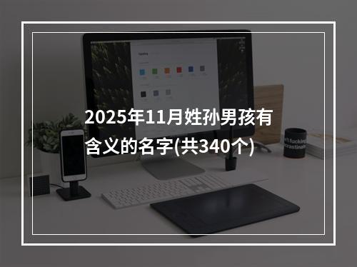 2025年11月姓孙男孩有含义的名字(共340个)