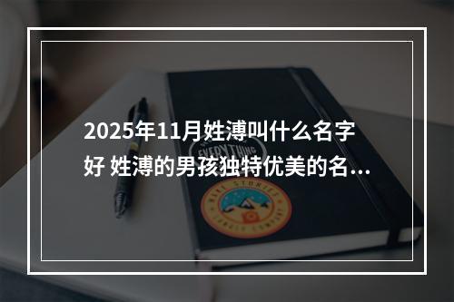 2025年11月姓溥叫什么名字好 姓溥的男孩独特优美的名字