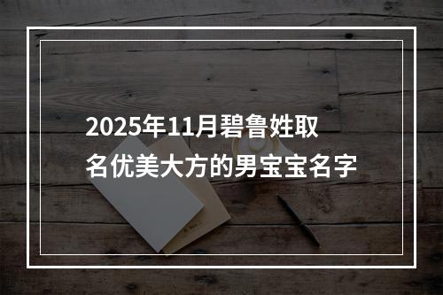 2025年11月碧鲁姓取名优美大方的男宝宝名字
