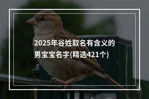 2025年谷姓取名有含义的男宝宝名字(精选421个)