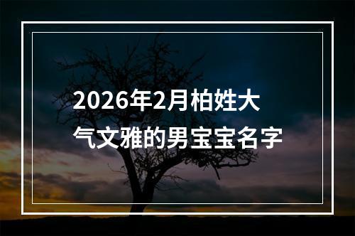 2026年2月柏姓大气文雅的男宝宝名字