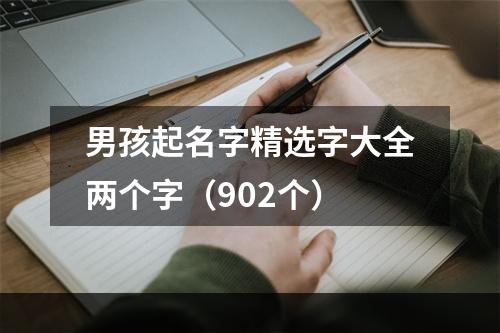 男孩起名字精选字大全两个字（902个）
