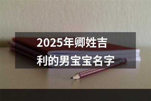 2025年卿姓吉利的男宝宝名字