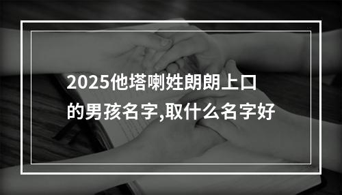 2025他塔喇姓朗朗上口的男孩名字,取什么名字好