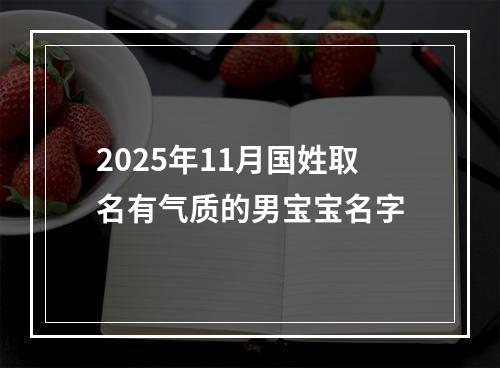 2025年11月国姓取名有气质的男宝宝名字