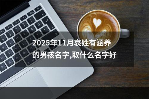 2025年11月哀姓有涵养的男孩名字,取什么名字好