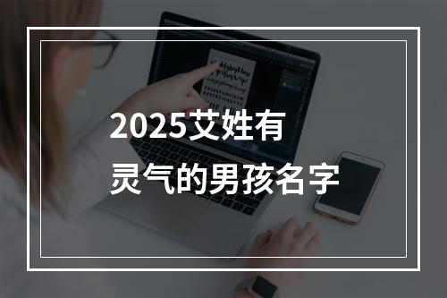 2025艾姓有灵气的男孩名字