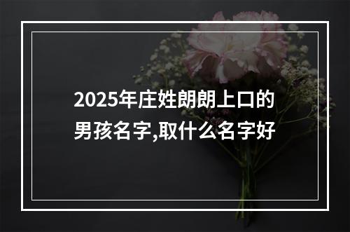 2025年庄姓朗朗上口的男孩名字,取什么名字好