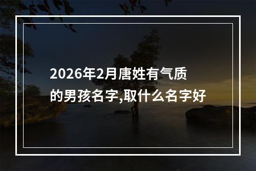 2026年2月唐姓有气质的男孩名字,取什么名字好