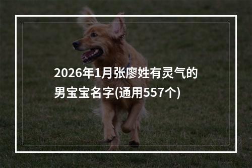 2026年1月张廖姓有灵气的男宝宝名字(通用557个)
