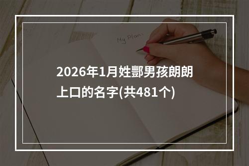2026年1月姓酆男孩朗朗上口的名字(共481个)