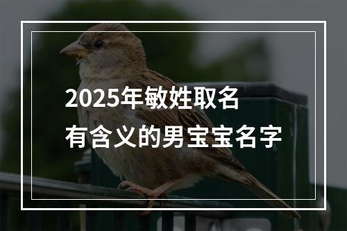 2025年敏姓取名有含义的男宝宝名字