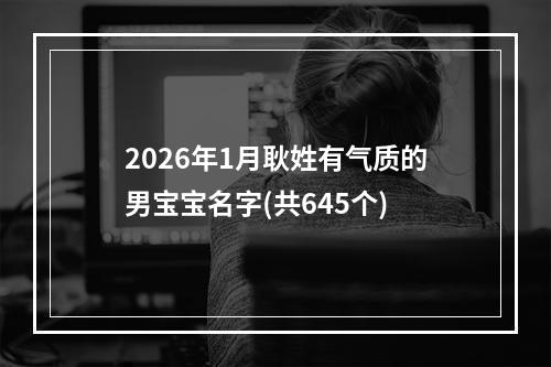 2026年1月耿姓有气质的男宝宝名字(共645个)