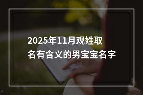 2025年11月观姓取名有含义的男宝宝名字