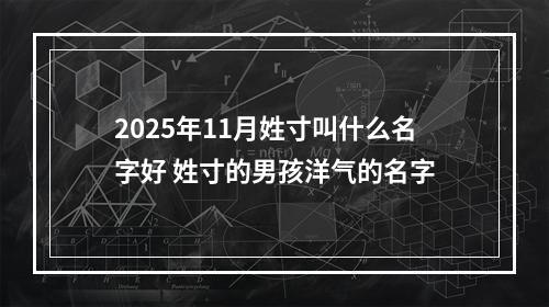 2025年11月姓寸叫什么名字好 姓寸的男孩洋气的名字