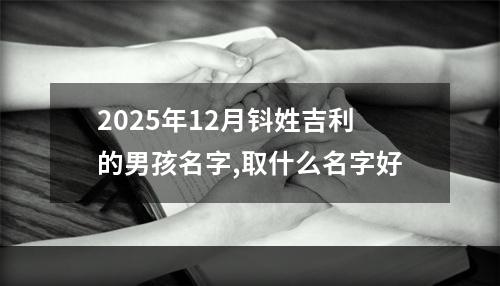 2025年12月钭姓吉利的男孩名字,取什么名字好