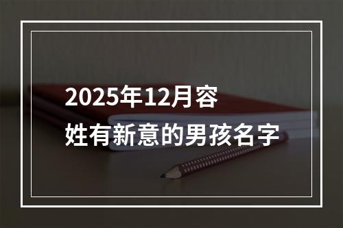 2025年12月容姓有新意的男孩名字
