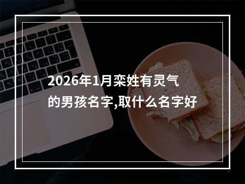 2026年1月栾姓有灵气的男孩名字,取什么名字好