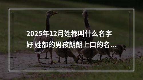 2025年12月姓都叫什么名字好 姓都的男孩朗朗上口的名字