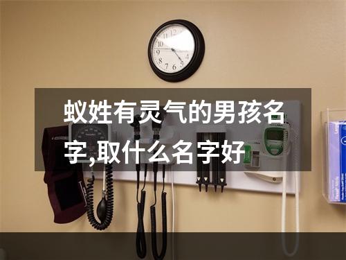 蚁姓有灵气的男孩名字,取什么名字好