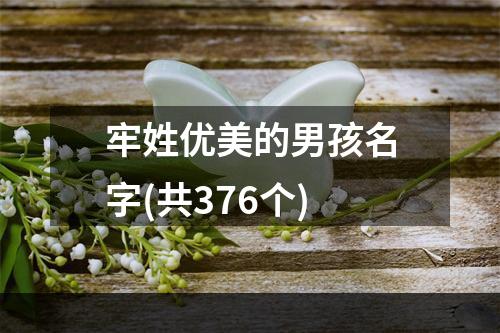 牢姓优美的男孩名字(共376个)