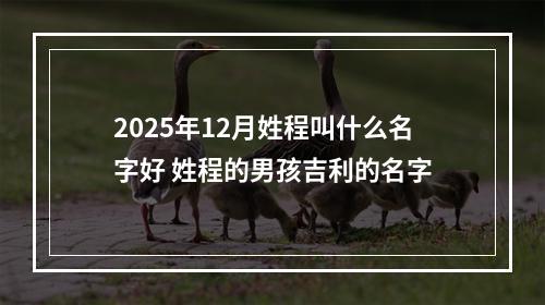 2025年12月姓程叫什么名字好 姓程的男孩吉利的名字
