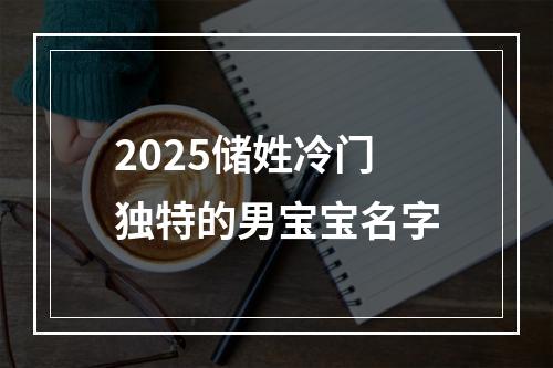 2025储姓冷门独特的男宝宝名字