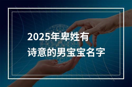 2025年卑姓有诗意的男宝宝名字