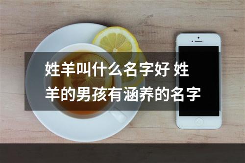 姓羊叫什么名字好 姓羊的男孩有涵养的名字