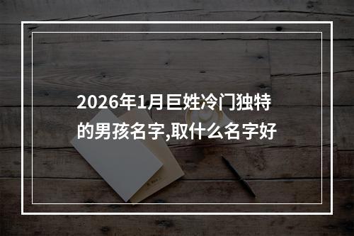 2026年1月巨姓冷门独特的男孩名字,取什么名字好