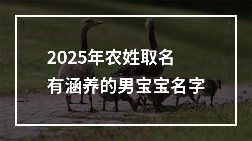 2025年农姓取名有涵养的男宝宝名字