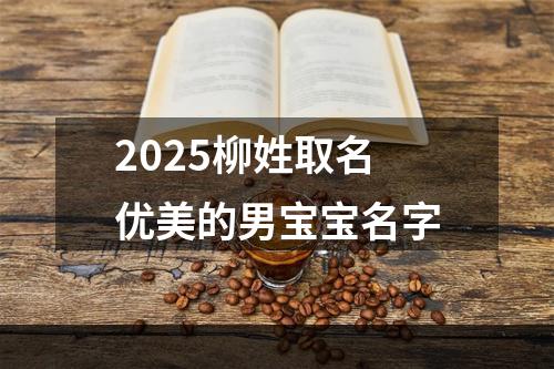 2025柳姓取名优美的男宝宝名字