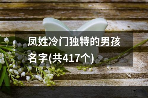 凤姓冷门独特的男孩名字(共417个)