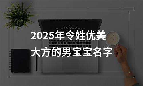 2025年令姓优美大方的男宝宝名字