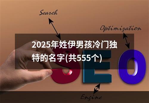 2025年姓伊男孩冷门独特的名字(共555个)