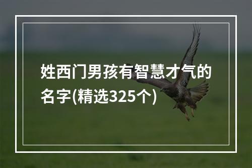 姓西门男孩有智慧才气的名字(精选325个)